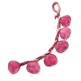 HOMSFOU 1 Cuerda De Ajo Artificial Calabazas Artesanales Ajo Vegetal Realista Calabazas Artificiales Prensa De Ajo Guirnalda De Ajo Cebolla Jengibre Pasta De Ajo Contenedor De Ajo Espuma