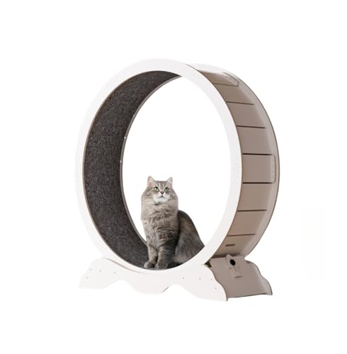 DazzixLbgzC[ LzC[ LjOzC[ ؐ a90/100/110cm ȔL ^s ܌@\ L̂ ܌ ᑛ  炭炭g (110*36.5*116cm,zCg)