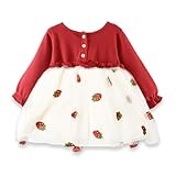 [しあわせ倉庫] イチゴ刺繍とふんわりチュール ベビー ワンピース チュチュドレス 子供服 女の子 長袖 プリンセス風 赤ちゃん キッズ フォーマル ドレス お出かけ 誕生日 入園式 記念撮影 発表会 結婚式 イチゴ 80