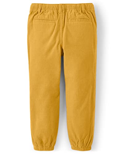 Gymboree Baby Boys' and Toddler Corduroy Pull on Pants4