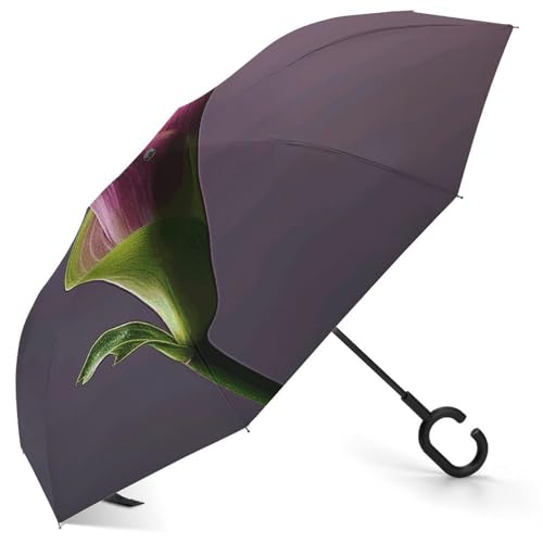 Parapluie inversé violet coupe-vent automatique et portable anti-UV