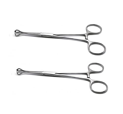 Forgesy Babcock Forceps 6" And 8" (Set Of 2) Tissue Forceps (B09LCXX5J4) Amazon Price History, Amazon Price Tracker