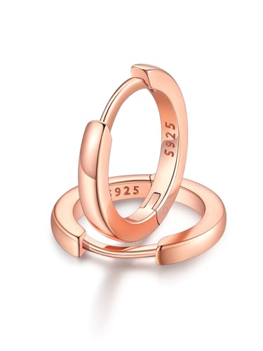 FaithHeart Hoop Earring for Woman Sterling Silver Huggie Earring Hoops 10MM Rose Gold Plated Cartilage Earrings for Sensitive Ears