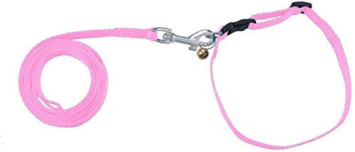 D&C Paws 1/2 Inch Nylon Leash and Adjustable Collar Set for Puppy/Cat- for Tracking, Walking, and Training -Length- 47 inches, Width-0.3 inch-Small 119 cm (Color May Vary) (B092JDT72Z) Amazon Price History, Amazon Price Tracker
