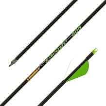Gold Tip Velocity XT 300 Arrows with 2-Inch Raptor Vanes 1-Dozen
