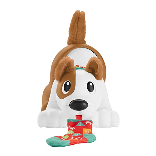 Fisher-Price 123 Crawl with Me Puppy – Ansicht 1