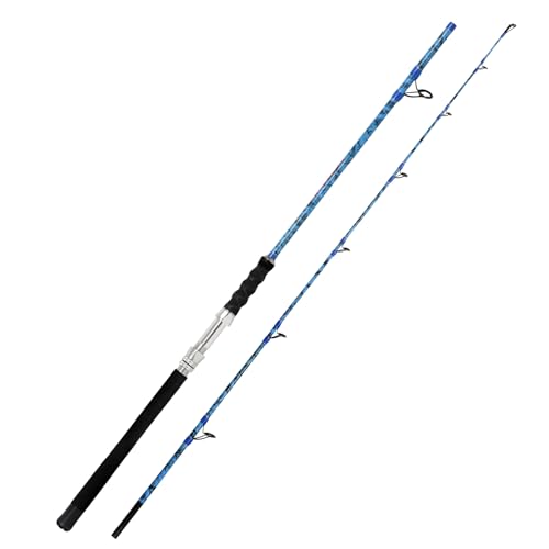 Fiblink Caña de Pescar Portátil Convencional de 2 Piezas Spinning/Casting Carbono miniatura 6