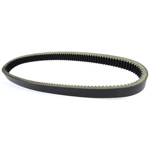 Courroie de transmission 125-56 robuste pour moteurs Argo 480cc et 570cc