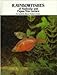 Rainbowfishes of Australia and Papua New Guinea