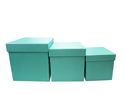 Lac Design Nested Boxes - Set Of 3 For Baby Shower, Weddings, And Any Party (Robins Egg Blue) #TOP2