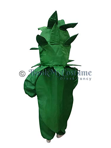 Image of BookMyCostume Spinach Palak Green Leafy Vegetable Kids Fancy Dress Costume 4-5 years