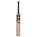 SS Tiger Strike 18 English Willow Premium Cricket bat, Adult Size- Short Handle, Includes Bat Cover