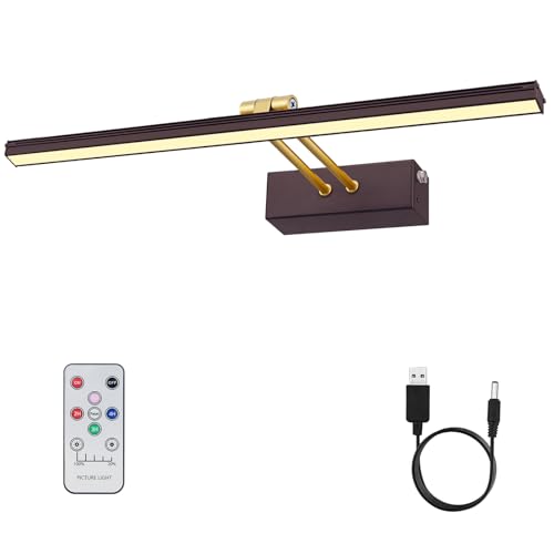 RAIFOOLLY Picture Light,5000mAh Rechargeabl Art Lights for Paintings,Remote 16