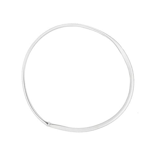 Pentair R36025 Vac-Mate Style Basket Gasket