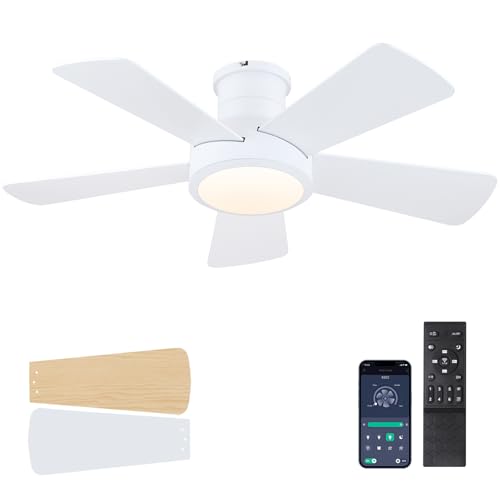 Ceiling Fans with Lights,Modern Low Profile Ceiling Fan with Light and Remote Control,5 Dual-Sided...