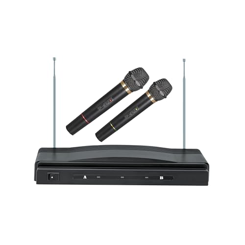 Dual Wireless Microphone