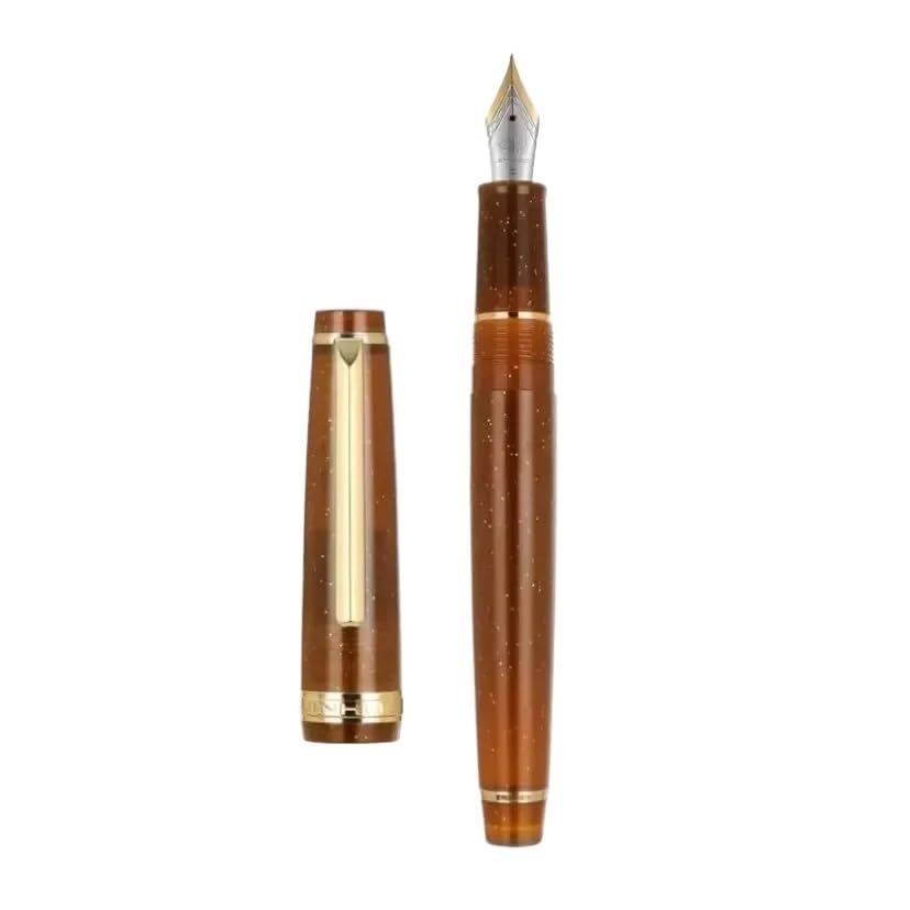 Stylo-plume transparent avec plume populaire M robuste couleur bordeaux