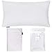 Thmyo 4-Pack 100% Cotton Lumbar Comfortable Solid Decorative Throw Pillow Case Rectangle Cushion Cover DIY Throw Pillowcase for Sofa Bed(Only Covers,Not Pillow Shams)(12x20inch/30x50cm,White)