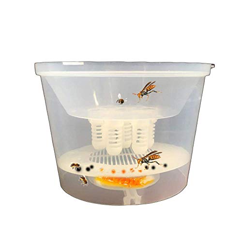 Lucky Farm Hornet Trapper Fly Bug Catching Traps Wasp Catcher Hanging on Tree Insectary Box Bees and Beekeeping Equipment Bee Tools