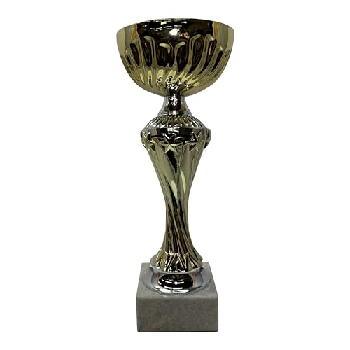 Express Medals 10 Inch Trophy Cup - Event, Sport Tournaments, Competitions, Recognition Gift or Award, 10 Inches Tall x 3.5 Inches Wide. AMC327-C