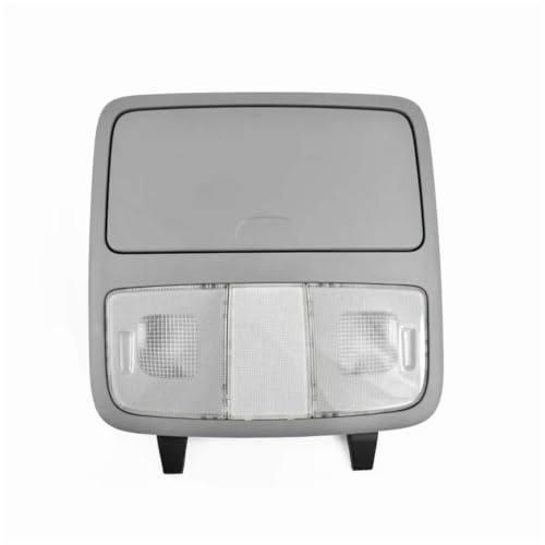 Luz techo interior coche soluciona falta de claridad en Hyundai Elantra gris