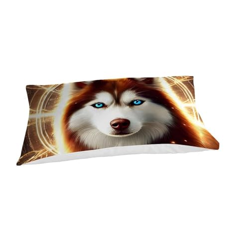 Parure de lit luxe Fantasmes Mystérieux ensemble deux pièces