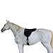 CHALLENGER Horse Western Trail Neoprene Padded Anti-Slip Bareback Purple Saddle Pad 39203PR