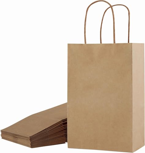 SUNCOLOR 12-Pack Small Brown Gift Bags with Handles – 8