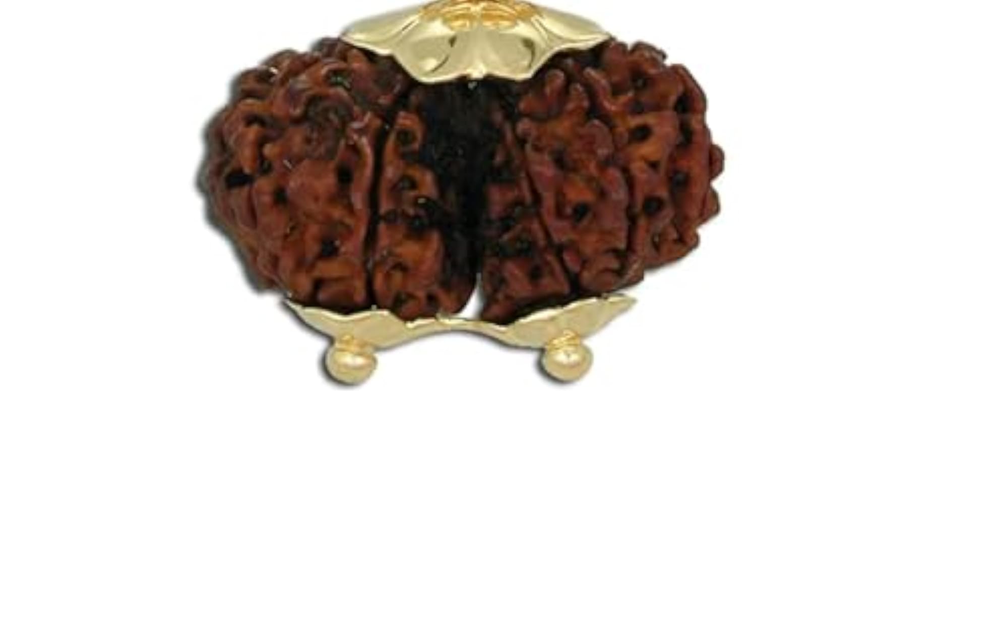 Gori Shankar Rudraksha Pendant, Shiv Parvati Joint