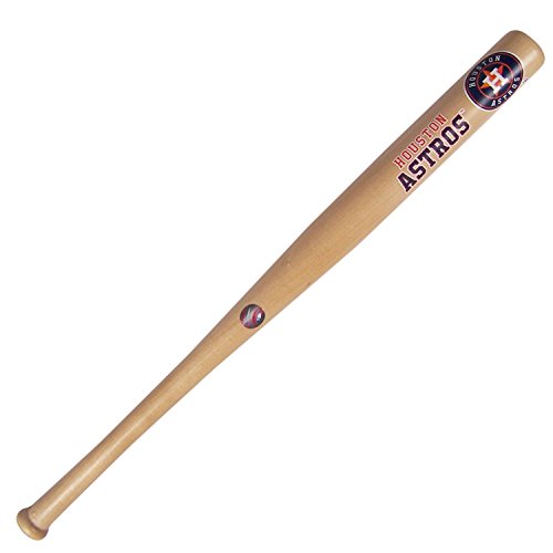 MLB Houston Astros 18-Inch Transfer Bat