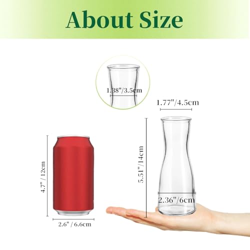 Hewory-Kleine-Vasen-fur-Tischdeko-Hochzeit-6-Vase-Glas-Vasen-Klein-Tischdeko-fur-Hochzeitsdeko-Modern-Blumenvase-Glas-Kleine-Glasvasen-Flower-Vase-Schmal-fur-Wohnzimmer-Brautparty-Wedding-Esstisch | Dealmeister.io Alt tag für bilder post titel