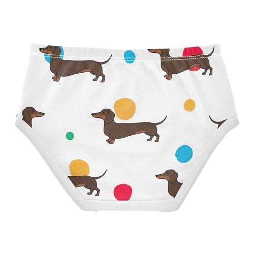 Brown Dachshund Dogs Spots White Panties for Girl Toddlers Underwear Floral Cotton Fun Print Briefs Kids Undies 2t2