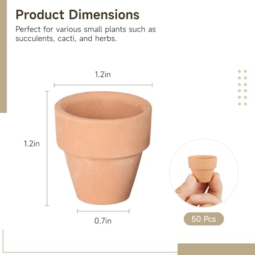 50 Pcs Mini Terracotta Pots, 1.2" Succulent Nursery Pots with Drainage Holes, Miniature Cactus Flower Planters, Tiny Clay Terra Cotta Pots for Indoor Outdoor Plants, DIY Crafts (50PCS) - Thumbnail 5