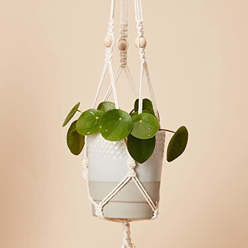 Calm Club Kit de macramê 'Hang Time' | Kit de cabide para plantas de macramé | Kits de artesanato