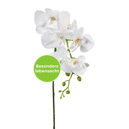 CREATIV green stilvolle Phalaenopsis Kunstorchidee 86cm in weiß I künstliche Orchideen wie echt mit naturgetreuen Blüten I Pflegeleichte & täuschend echte Kunstblumen I Ideal als Blumen Deko