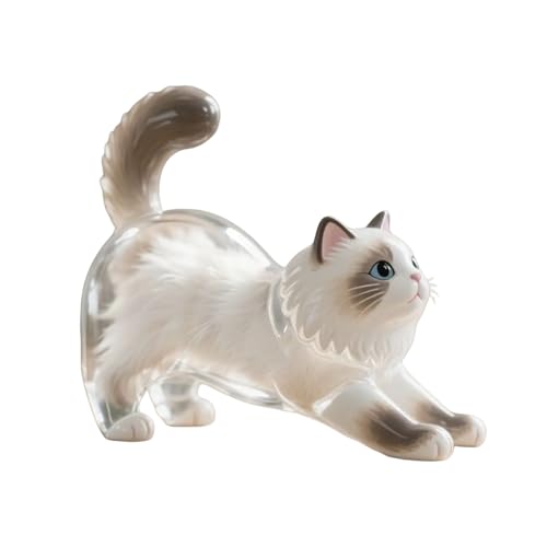 YiNLuax Creative Cats Hair Keepsakes Display Box for Pet Lover Clear Decorative Container To Preserve Furs