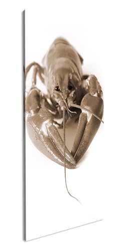 schwedische rote Krebse Panorama 120x60 cm Effekt:Sepia als Leinwandbild, Motiv fertig gerahmt auf Echtholzrahmen, Hochwertiger Digitaldruck mit Rahmen