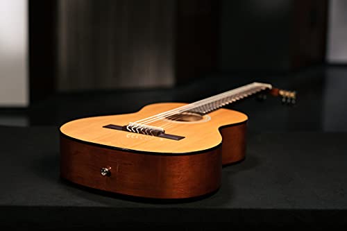 Ortega Guitars 6 String Student Series 3/4 Size Nylon Classical Guitar, Right (Rst5-3/4) #TOP5