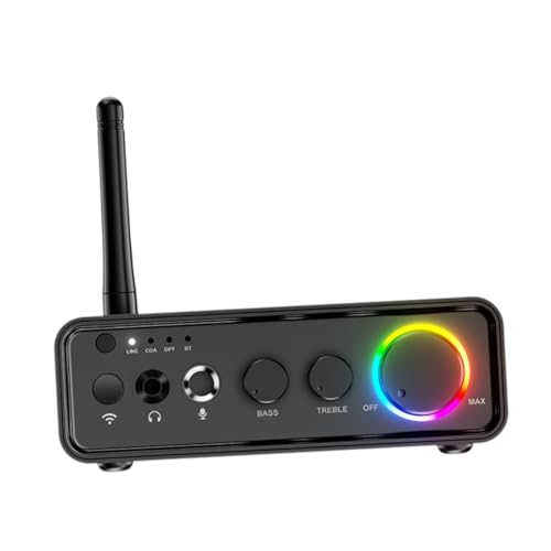 Dickly Miniamplificador Digital M19 BT Home, Altavoz, miniamplificador de Potencia, 12-24 V, 2,0 Canales, para de casa