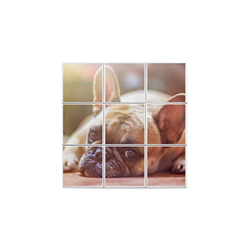 Carreaux céramique carlin : le cadeau déco idéal pour les passionnés de pugs