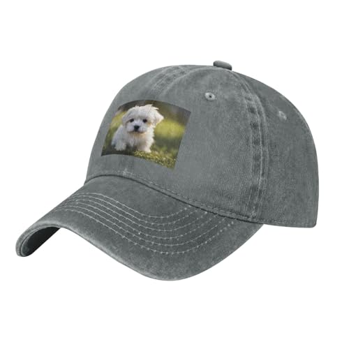 Prova un abbigliamento versatile tutto l'anno con questo cappello in denim sfoderato a strato singolo Gray HJFCZH Cute Maltese Puppy Picture, il suo spessore moderato del tessuto lo rende ideale per l'uso quotidiano, lo sport e le attività all'aperto, mescolando praticità con un'estetica semplice ed elegante.