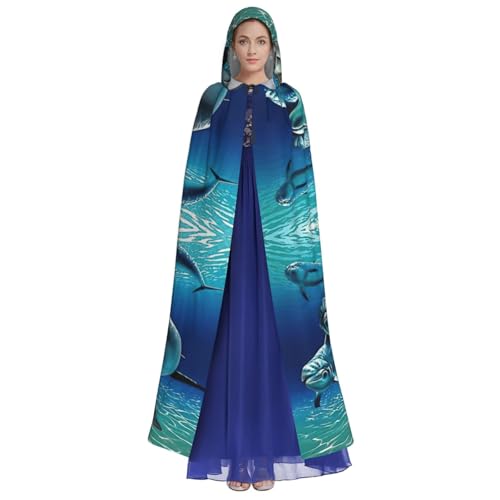 Robe de carnaval dauphin : cape médiévale idéale pour vos festivals - 2