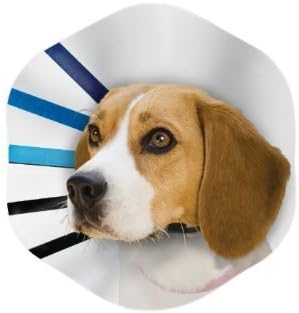 KONG E-Collar for Dogs, Large, Clear