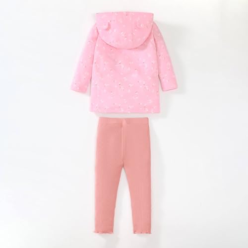 Image of HILEELANG Toddler Girl Fall Outfits Clothing Pants Set Sweatshirt Cotton Strench Leggings Playwear Sets 2pc