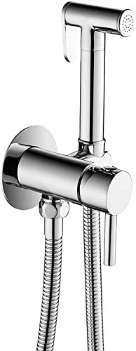 Pulvérisateur de couche en tissu pour toilette LWX mural en acier inoxydable avec tuyau