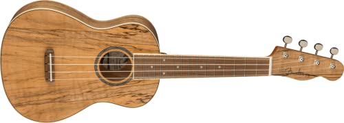 Fender Zuma Exotic Concert Ukulélé Noyer Doigter Maple - Les Beatles, Paul McCartney, John Lennon, RIngo Starr, George Harrison Fender Zuma Exotic Concert Ukulélé Noyer Doigter Maple – Image 4