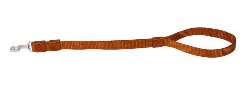 KENNEL E13 Premium Nylon Short Lead 1-1/4 INCH (Green) (B09RSV794J) Amazon Price History, Amazon Price Tracker