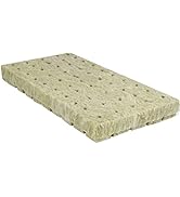 FLOWERPLUS Rockwool Cubes for Hydroponics Growing, 1" 50 Plugs Rock Wool Seed Starter Sheet