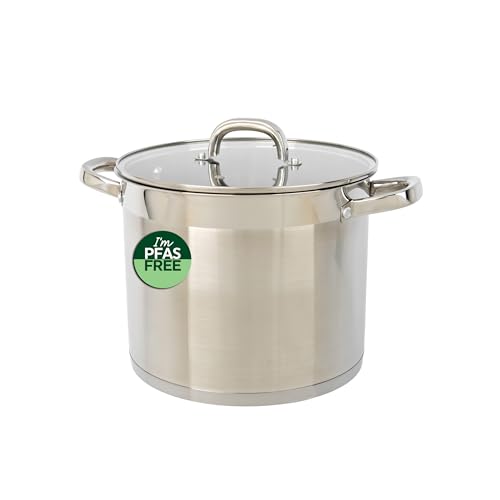 Salter Timeless 24cm Stockpot - Non-Stick Stainless Steel Cooking Pan, 9L, Includes Tempered Glass Lid & Steam Vent, Easy Carry Handles, Dishwasher Safe, Suitable for All Hobs Including Induction