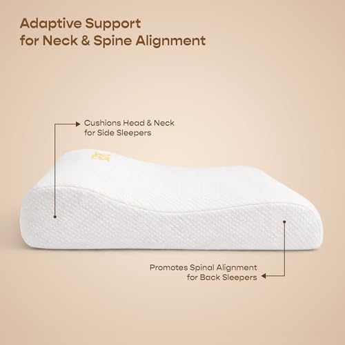 Image of SleepyCat CoolTEC Cervical Memory Foam Pillow | Full Size Contour Design for Neck Support | No Sagging, No Breaking | Upto 4 Cooler | Perforated Real Memory Foam | White, Set of 4 (25 x 16 Inches)